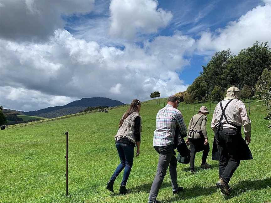 Experiential Tasmania, Launceston, TAS