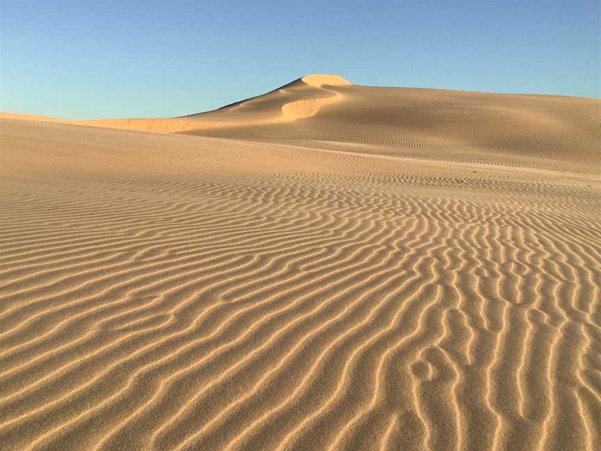 Sand Dune Safaris, Anna Bay, NSW