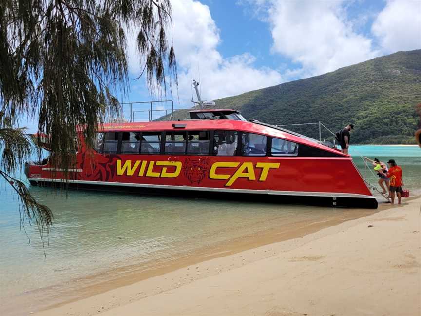 Wildcat Mackay, North Mackay, QLD