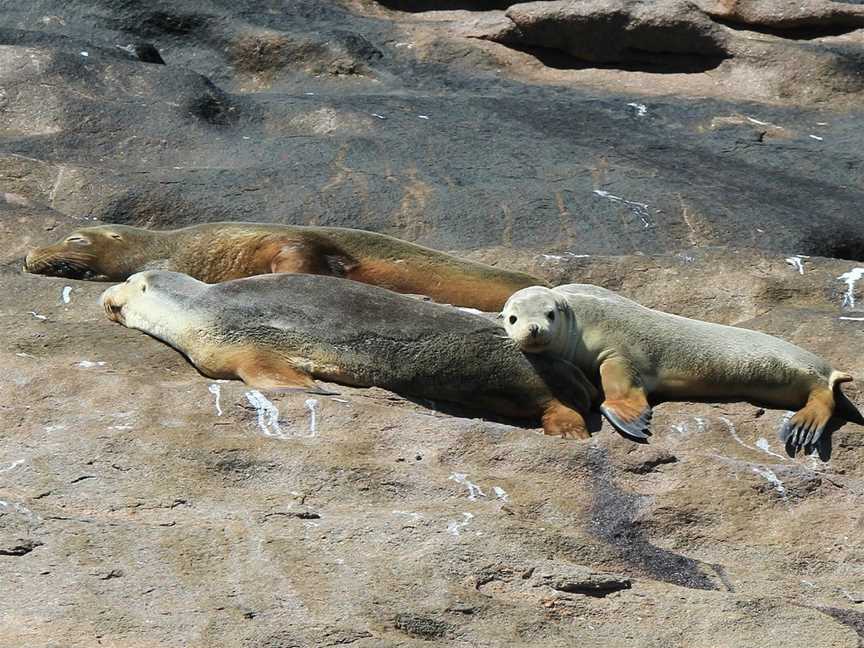 Esperance Island Cruises, Esperance, WA