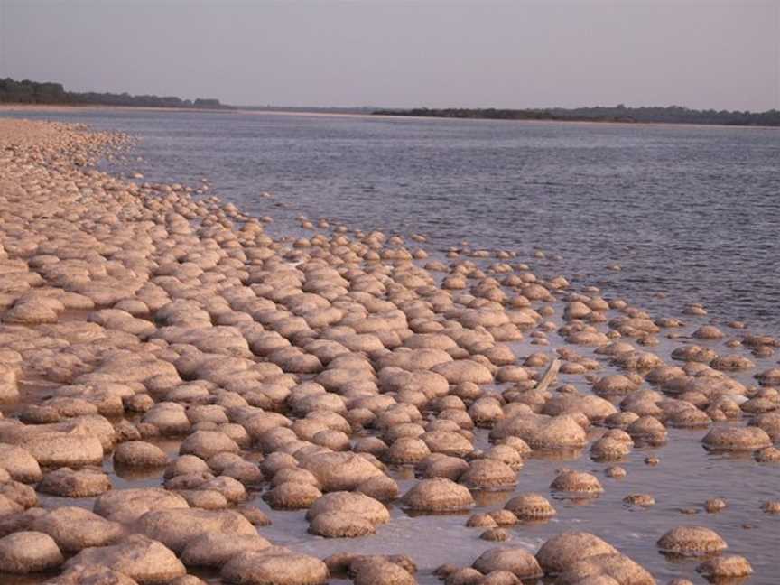 Salt and Bush Eco Tours, Mandurah, WA