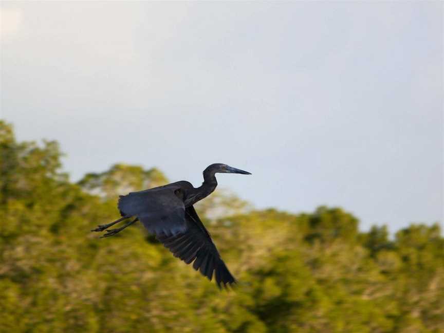 Western Cape Eco Tours, Weipa, QLD