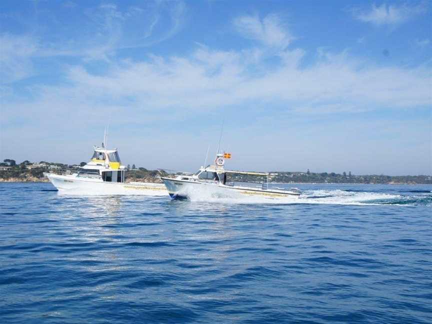 Proline Fishing Charters, Sorrento, VIC