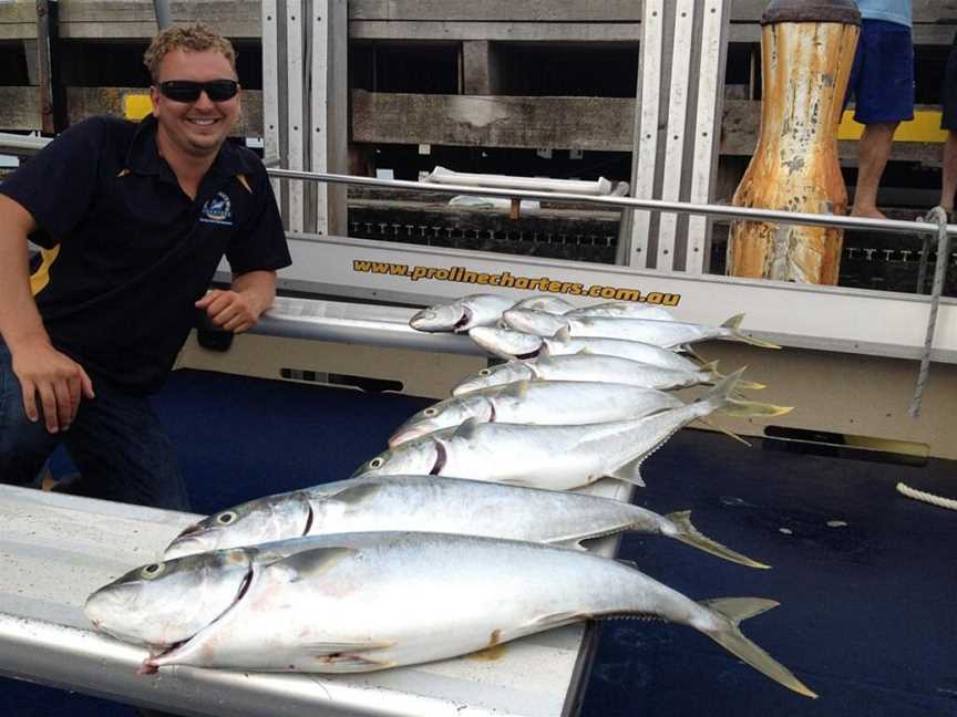 Proline Fishing Charters, Sorrento, VIC