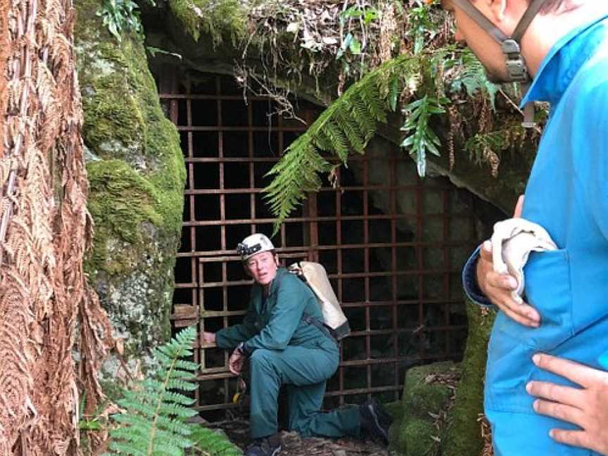 Wild Cave Tours, Mole Creek, TAS