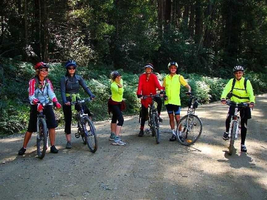 Snowy River Cycling Rail Trail Tours, Orbost, VIC