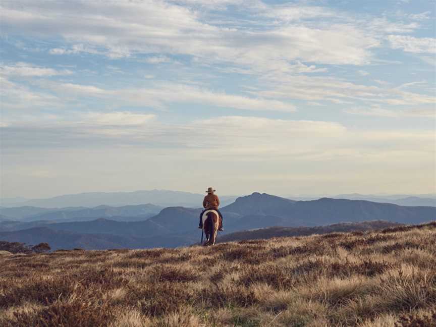 Hidden Trails by Horseback, Mansfield, VIC