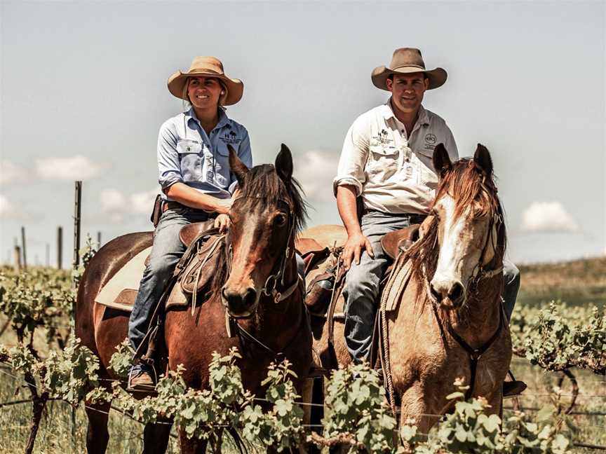 Hidden Trails by Horseback, Mansfield, VIC