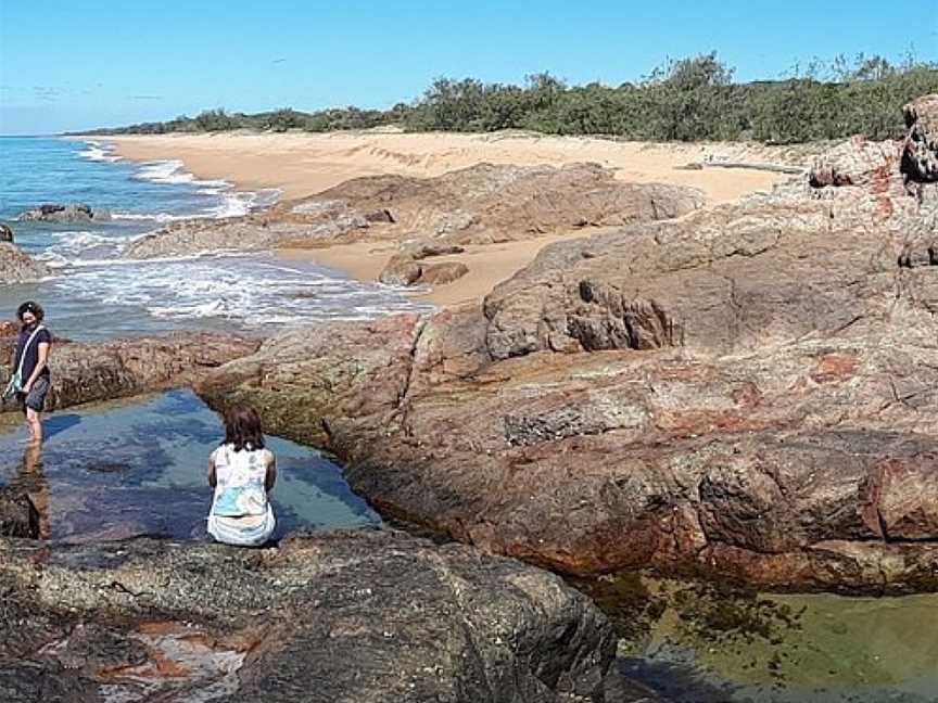 Moondoggie Beach & Bush Tours, Agnes Water, QLD