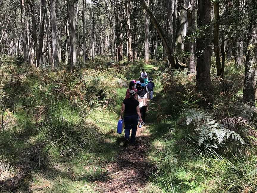 Wombat Discovery Tours, Daylesford, VIC