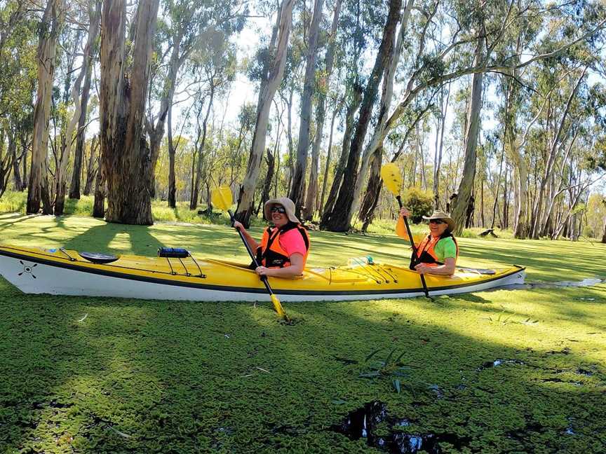 Murray River Adventures, Cohuna, VIC