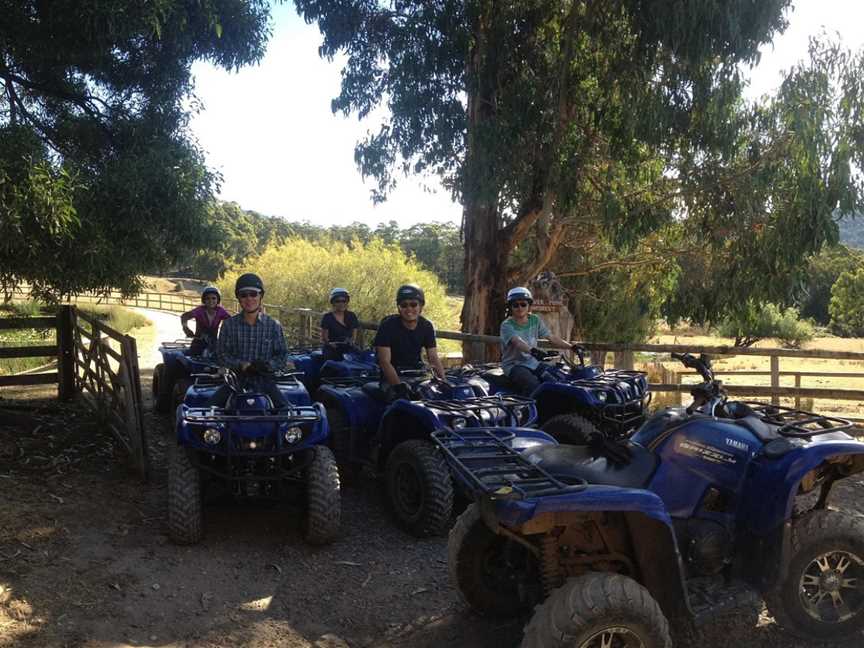 Mt Roland Quad Bikes, Claude Road, TAS