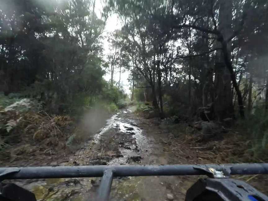 Mt Roland Quad Bikes, Claude Road, TAS