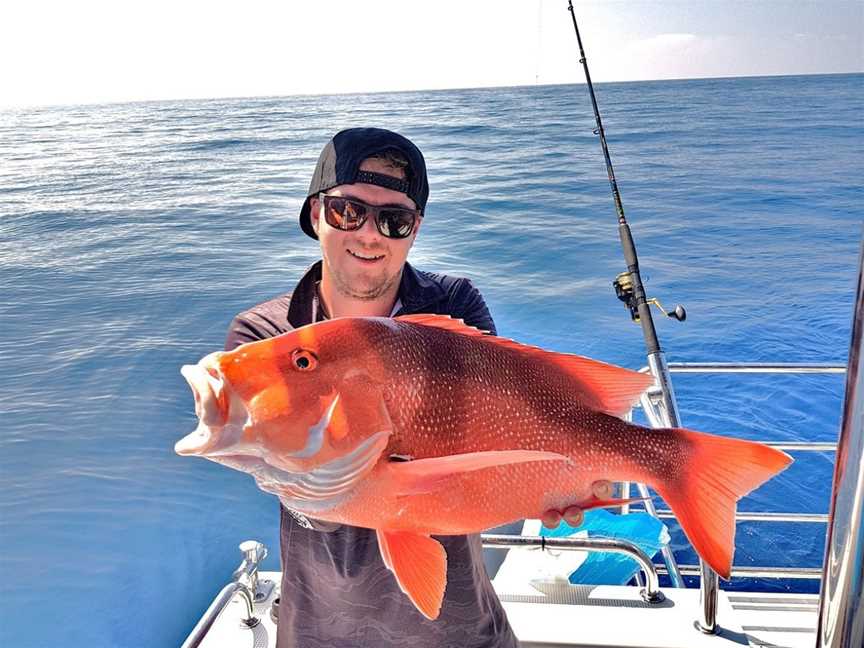 Reef Fish & Dive 1770, Agnes Water, QLD