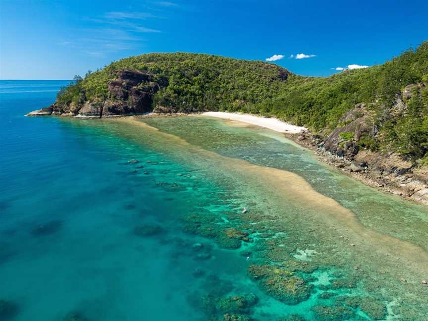 Scamper Island Camping, Shute Harbour, QLD