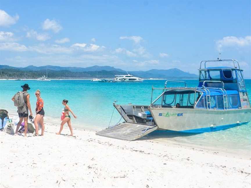 Scamper Island Camping, Shute Harbour, QLD