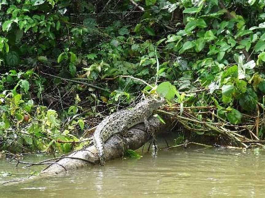 Tropical Horizons Tours, Cairns City, QLD