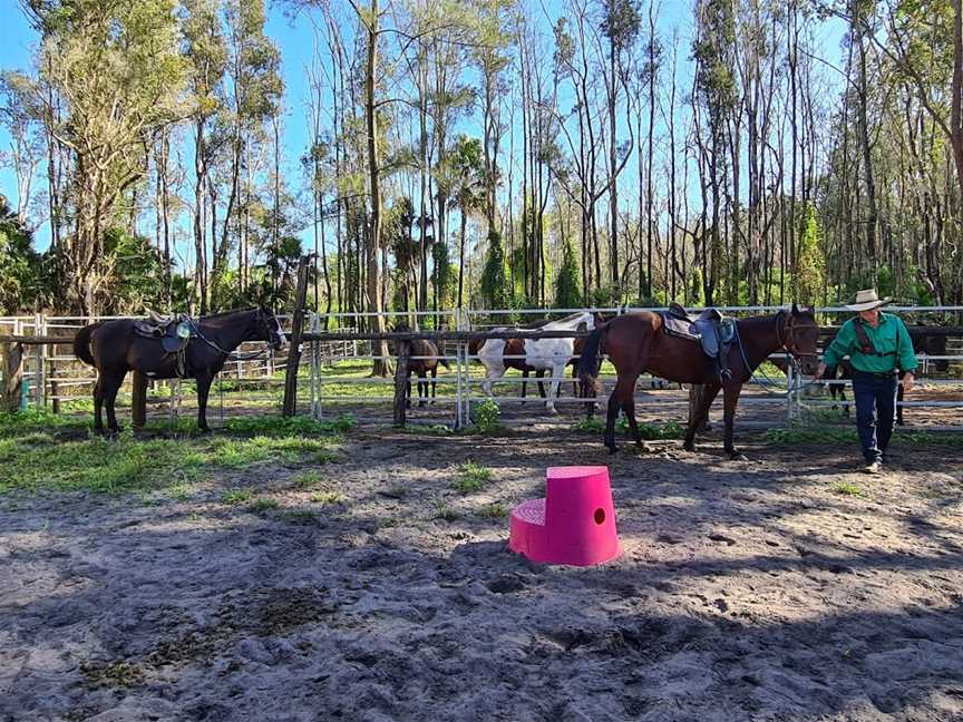 Horse About Tours, Tuncurry, NSW