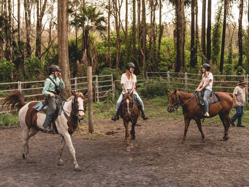 Horse About Tours, Tuncurry, NSW