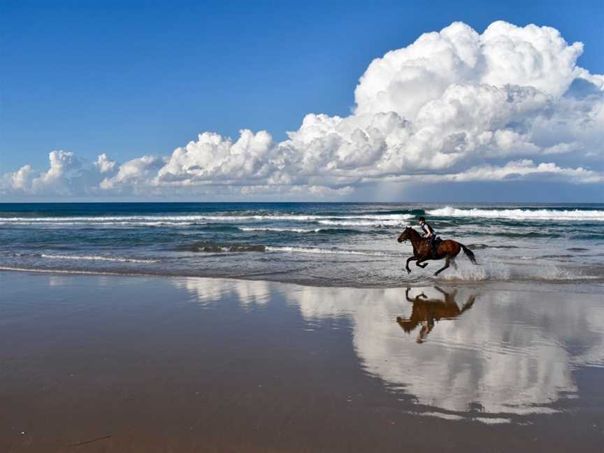 Southern Cross Horse Treks, Lorne, NSW