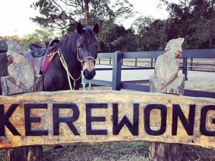 Southern Cross Horse Treks, Lorne, NSW