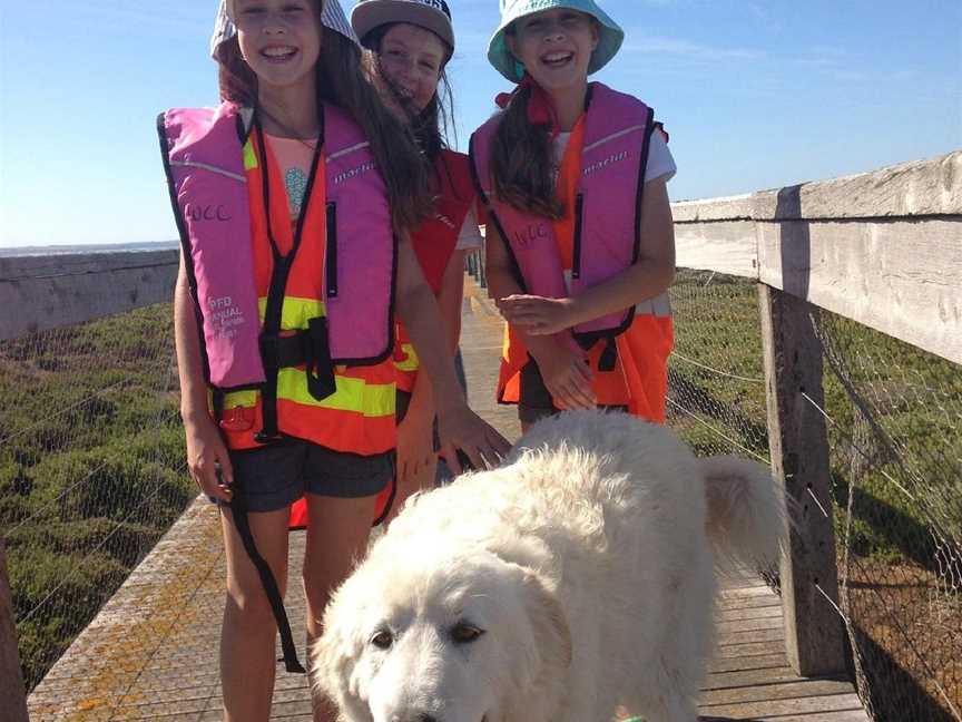 Middle Island Maremma Project, Warrnambool, VIC