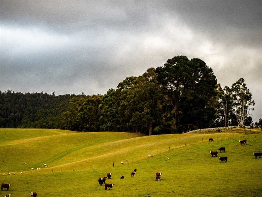 Eudaimonia Tasmanian Cycling Tours, Hobart, TAS