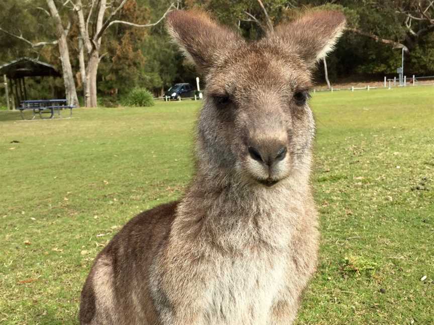 Conjola Tours, Lake Conjola, NSW