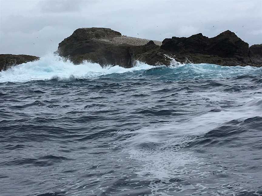 Portland Harbour Tours, Portland, VIC