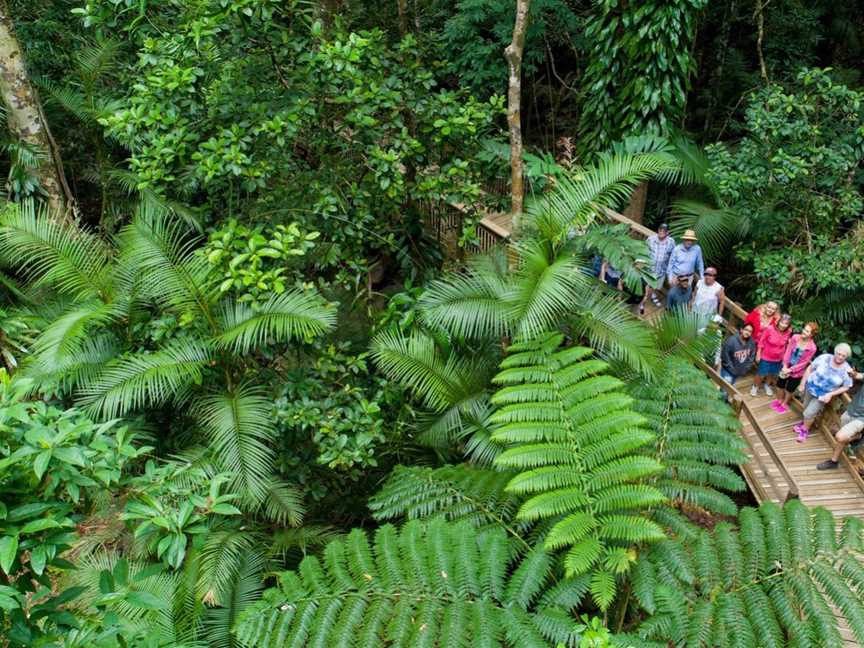 Billy Tea Safaris, Port Douglas, QLD