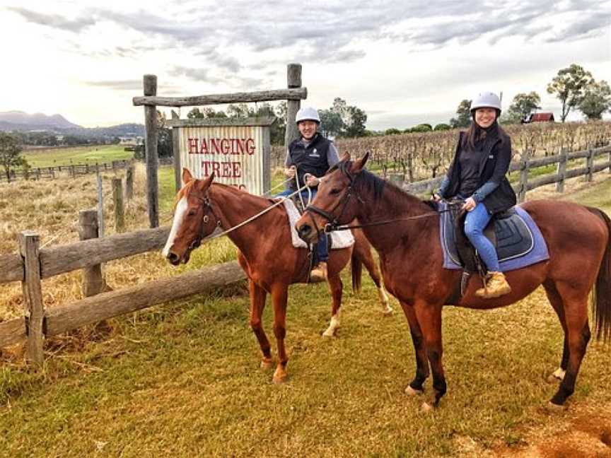 Murchessons Equine Wine And Dine Tours, Pokolbin, NSW