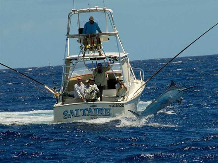 Saltaire Charters, Port Douglas, QLD