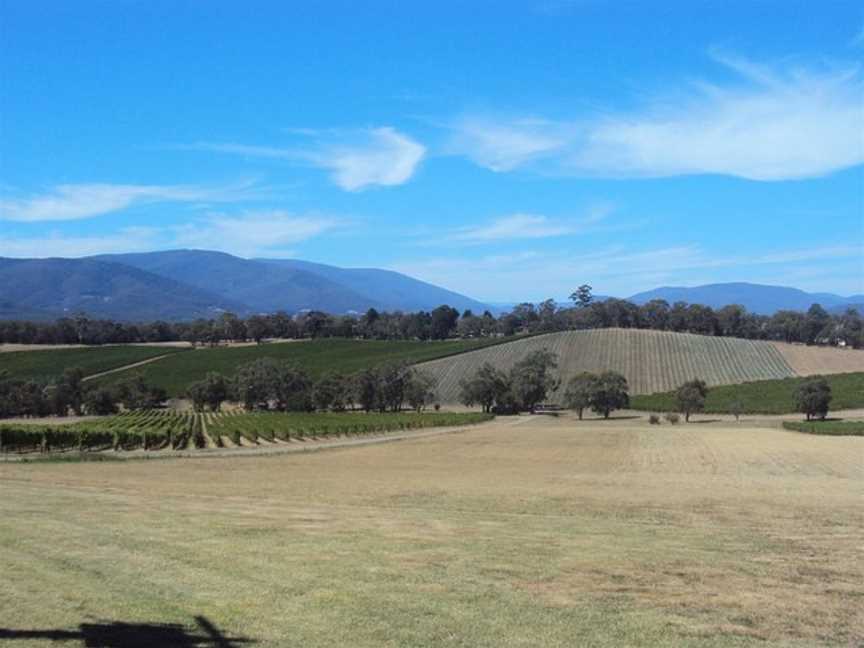 Yarra Valley Private Group Tours, Yarra Glen, VIC