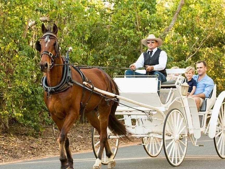 Darwin Horse and Carriage, Darwin, NT