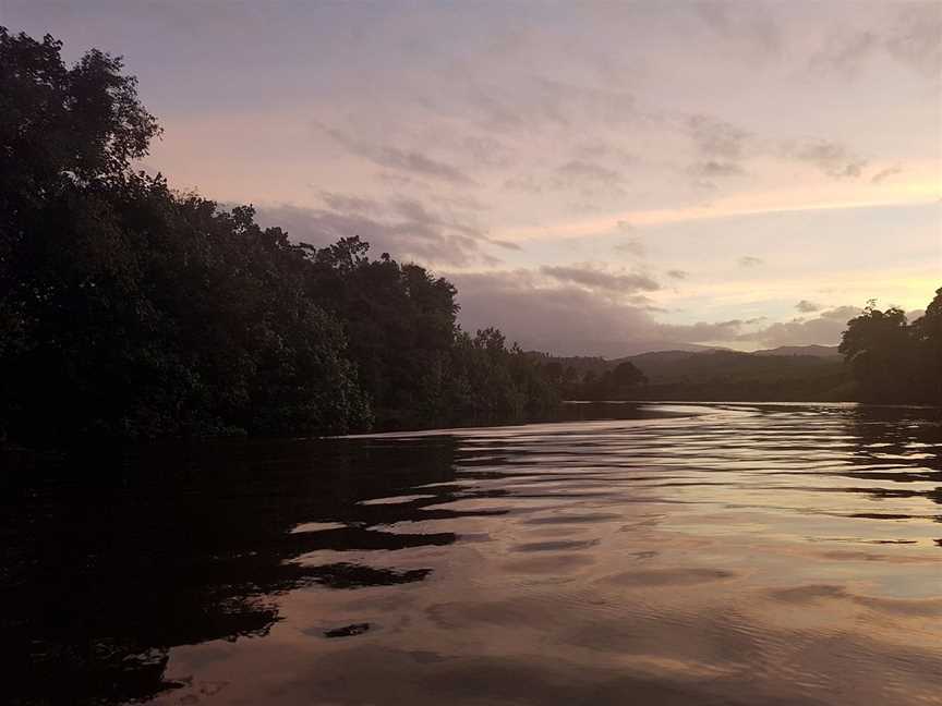 Daintree Cruise Company, Tours in Daintree