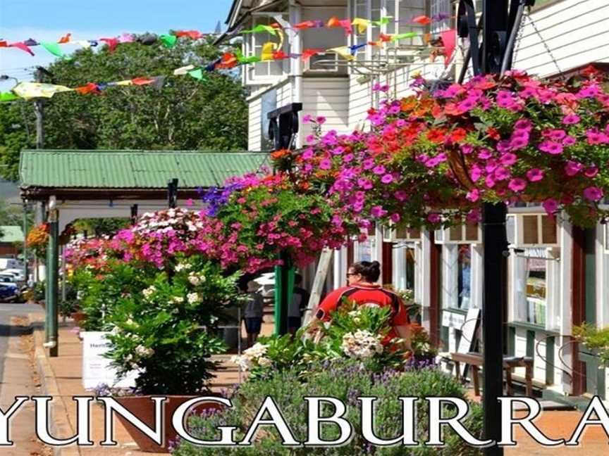 Yungaburra Tours, Yungaburra, QLD