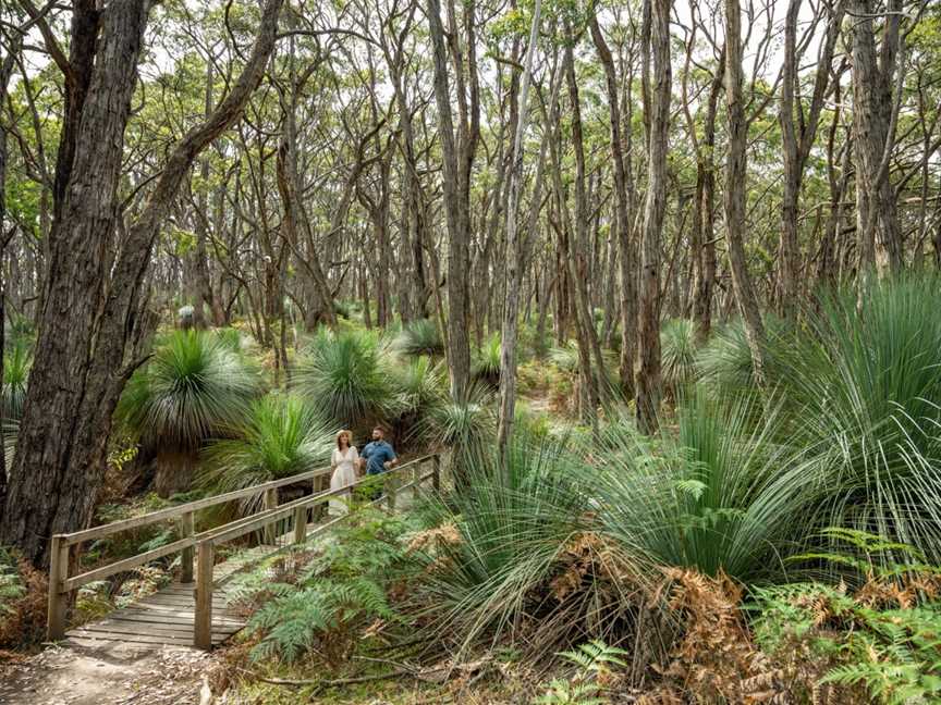 Spirit of the Fleurieu Tours, Sellicks Hill, SA