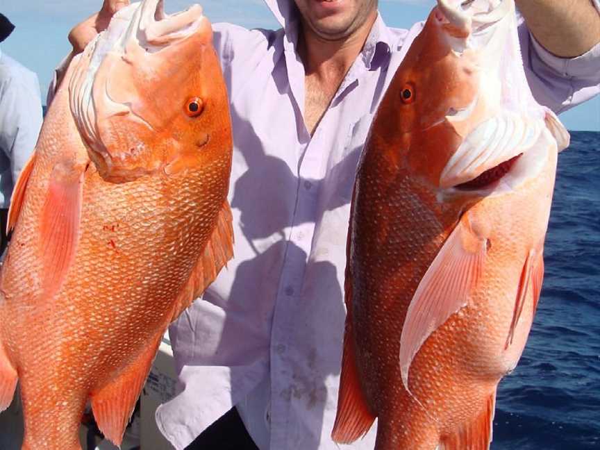 Rainbow Beach Fishing Charters, Rainbow Beach, QLD