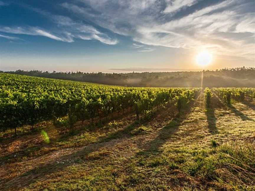 Hunter Valley Prestige Wine Tours, Pokolbin, NSW