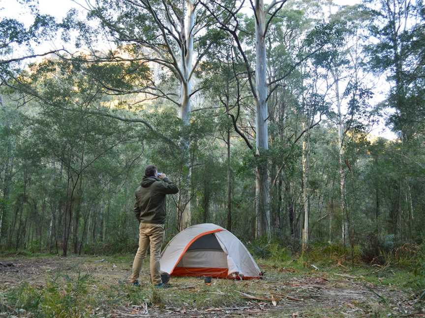 Overnight Adventures, Sydney, NSW