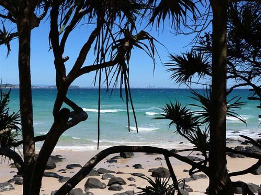 Steal My Trip, Surfers Paradise, QLD