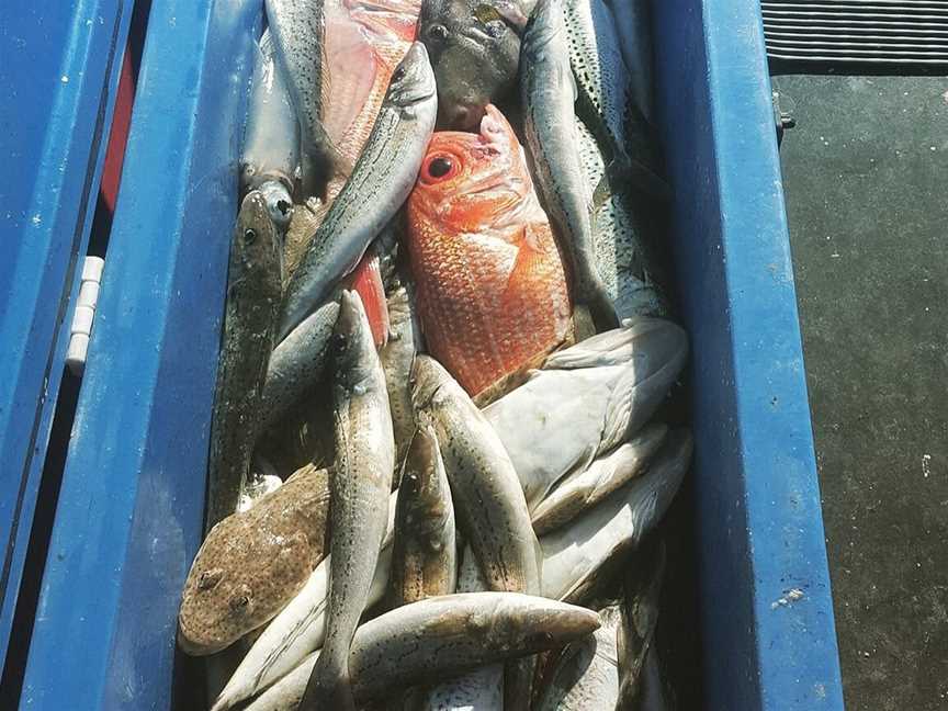 Keen as Fish, Marion Bay, SA