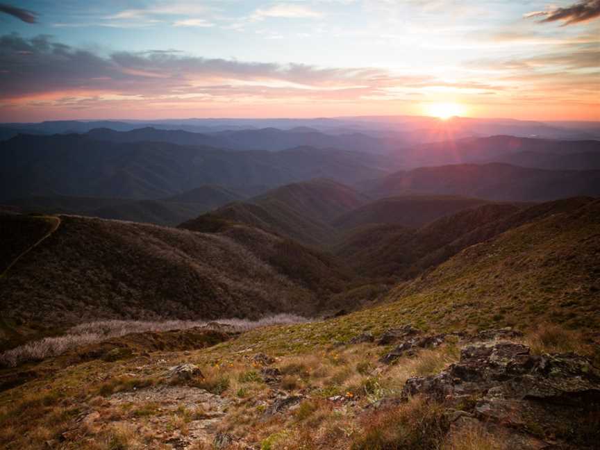 Mansfield Bushwalks, Mansfield, VIC