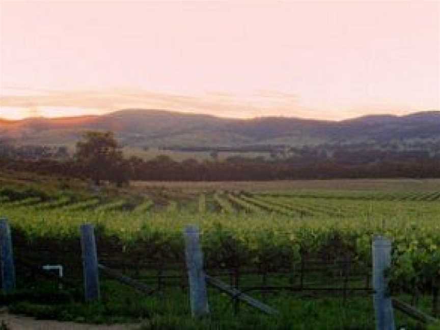Stanthorpe Overnight Winery Tours, Stanthorpe, QLD