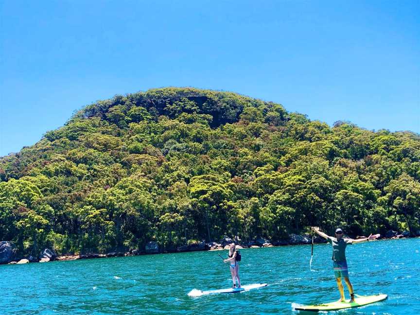 Pittwater Eco Adventures, Morning Bay, NSW