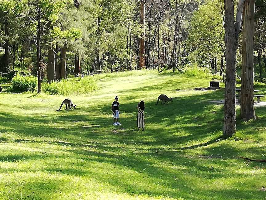 Blue Mountains Guides, Katoomba, NSW