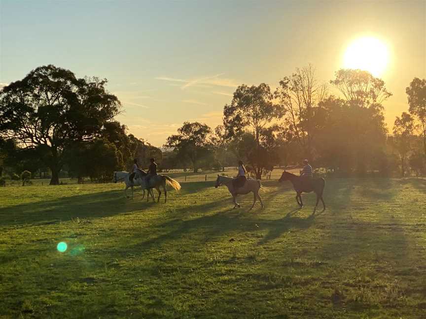 Mudgee Horse Riding Centre, Linburn, NSW