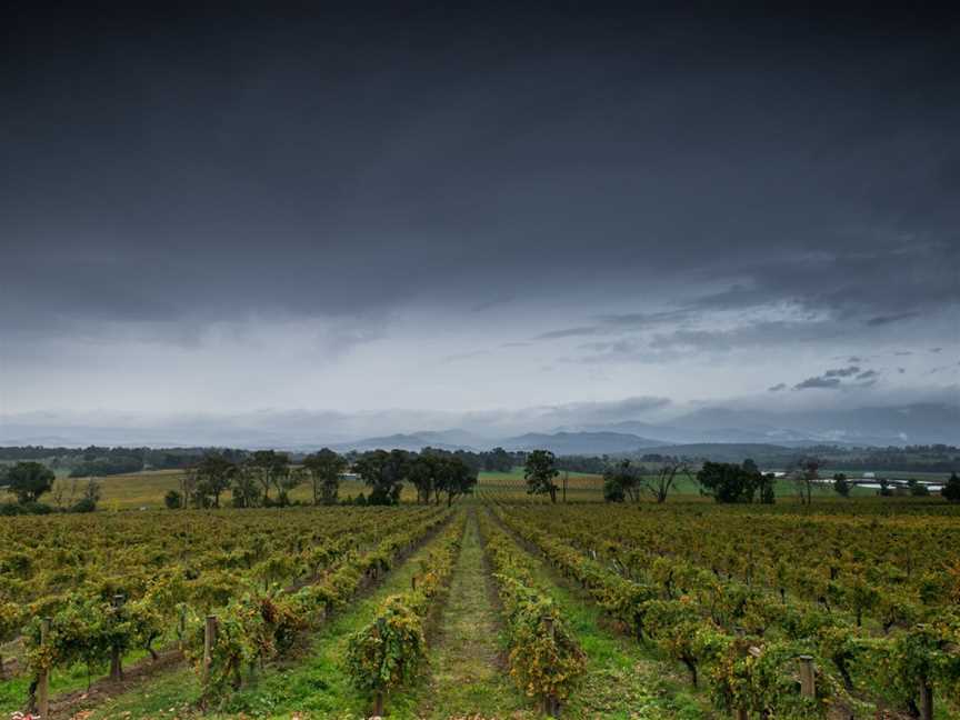 The Private Tour Guide, Melbourne, VIC