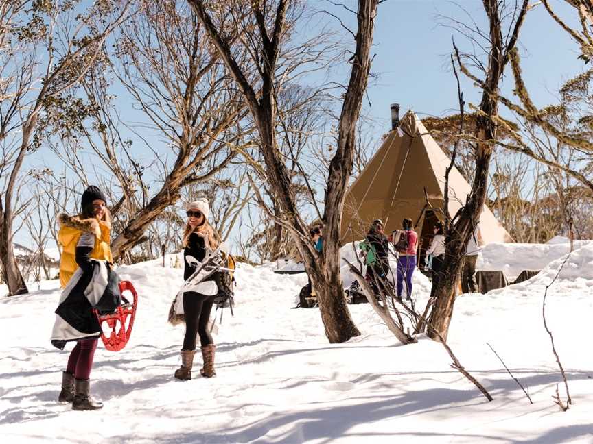 Alpine Nature Experience, Mount Hotham, VIC