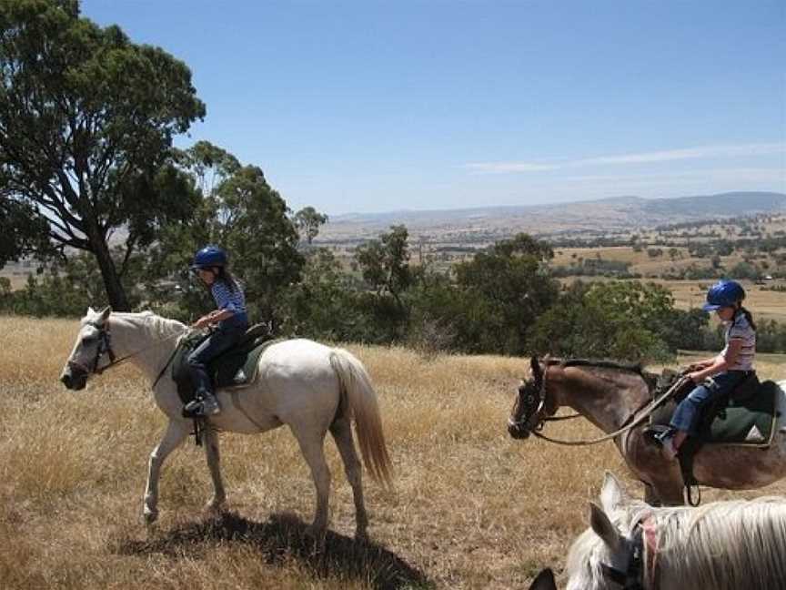 Adventure Victoria - Private Day Tours, Mansfield, VIC